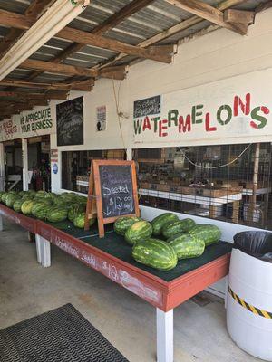 Yellow Jackets Produce