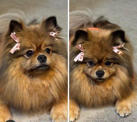 OMG so cute thanks guys