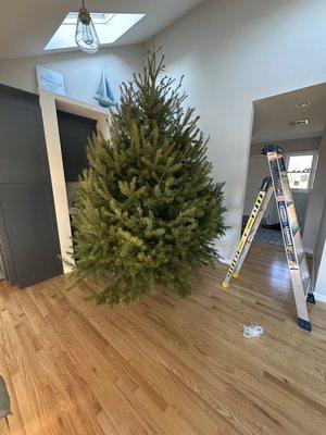 Paproski's Tree Farm