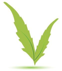 Verde Medical