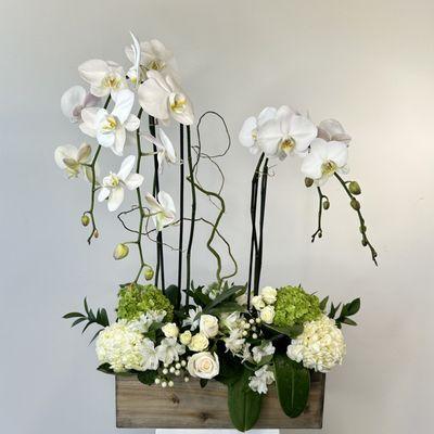 The Orchid Paradise, which features two double stem phalaenopsis orchids with hydrangea and roses.