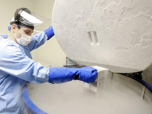 Frozen stem cells in liquid nitrogen at -320 degrees Fahrenheit