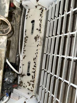 E E N Property Management