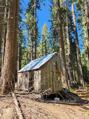 Jackson Road Trail, Madera County: 2025 Sep 26