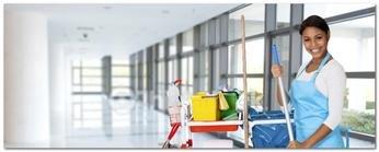 Blue Fox Cleaning Service