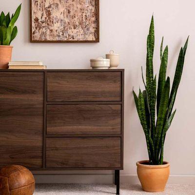 Seven Palms Apartments