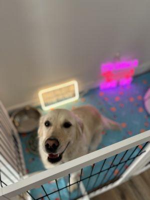 This Must Be The Place