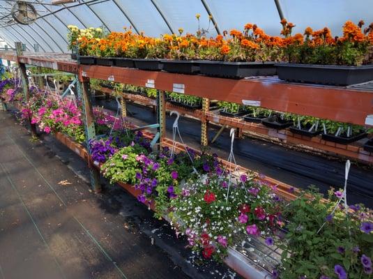 Fred's Greenhouse & Nursery