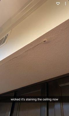 Crack in the ceiling from the leak. Taken in 2020.