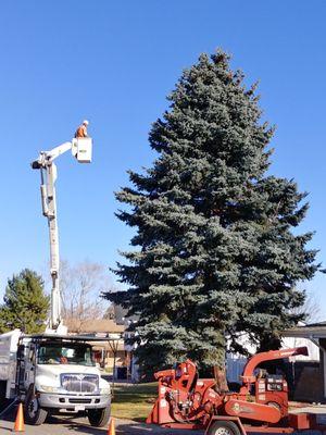 Arborist Arms Tree Company