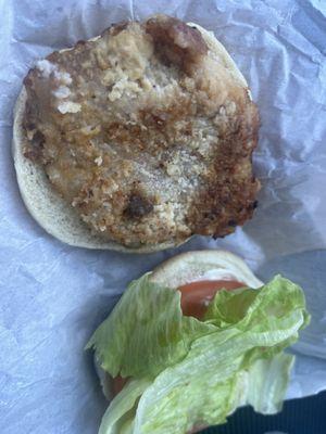 Tenderloin Sandwich - rather small, but tasty