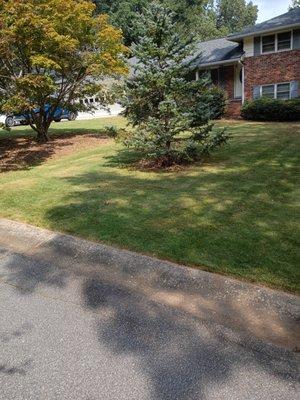 Myke's Lawn Care Service