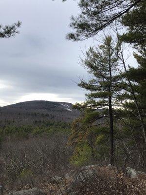 Leominster State Forest