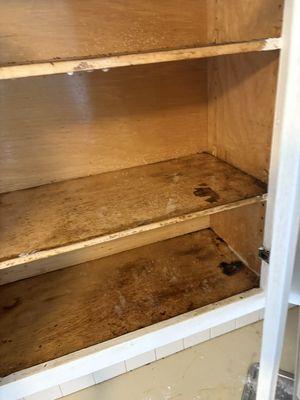 J-Ortega Cleaning Service