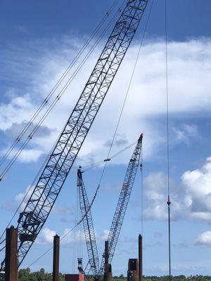 Bingham Island Audubon Preserve