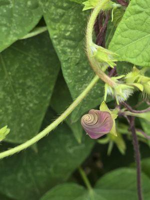 Craft Tasting Room and Growler Shop