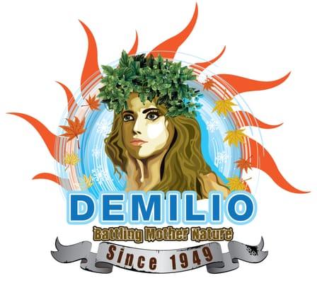 Demilio Inc