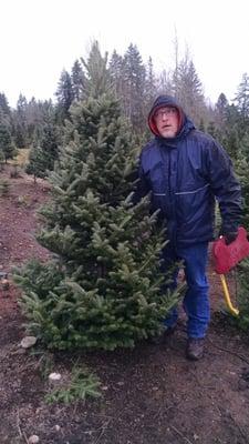 Cox Christmas Tree Farm