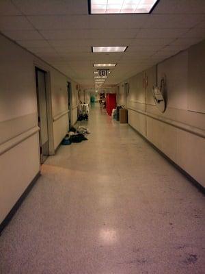 Project Read-Main Library