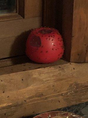 Northland Vacation Rentals