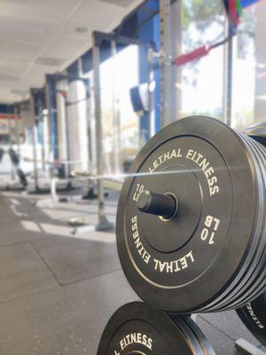 Results Fitness Gym Jax