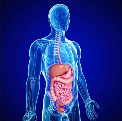 Marwan Iskandarani, M.D.