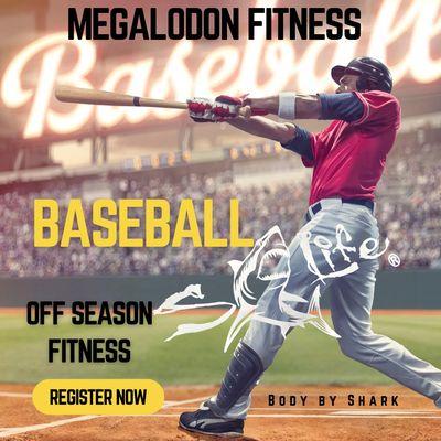 Off season Training for Baseball. We help you achieve that next level through Fitness Training.