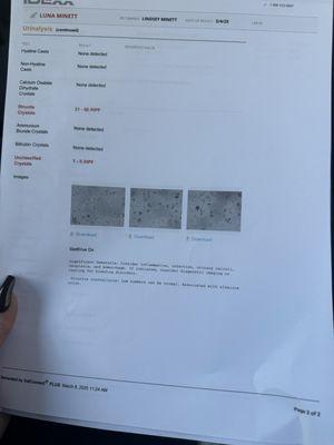 River Oaks Veterinary Clinic