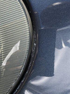 A1 Auto Detailing & Exotic Car Storage