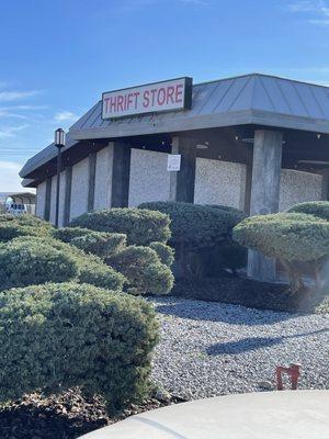 Your Treasure Connection