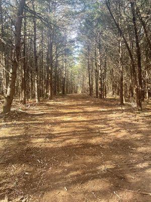 Right of way and trail Maintenace