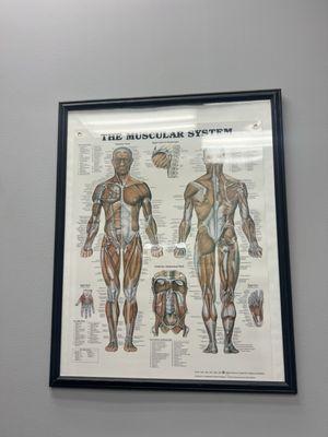 Perth Amboy Spine & Joint Care