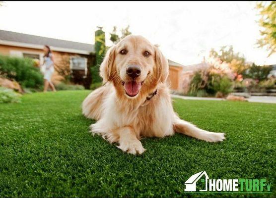 Pets love HomeTurf. Ask about pet friendly turf makeovers