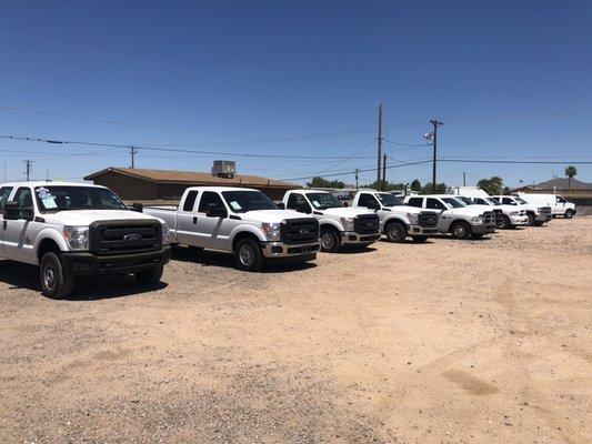 1500, 2500 and 3500 Regular cab. extended and Crew cab trucks.