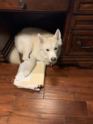 Kristina L Combs, PLLC