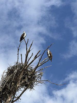Key Vista Nature Park