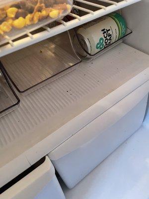 Inside of the fridge