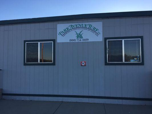 Technically Sierra Sod is Park Avenue Turf