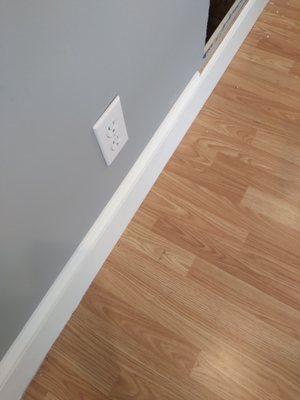 Hawk Painting and more