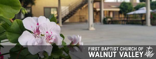 First Baptist Church of Walnut Valley