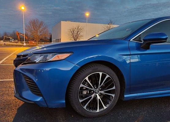 A facial profile like Elvis... just can't look away.