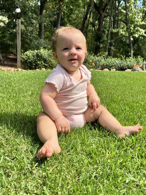 Top Turf Lawn Care and Pest Management