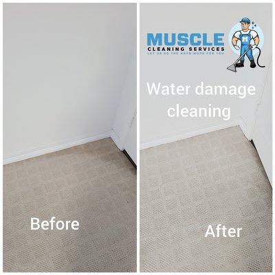 Muscle Cleaning Services