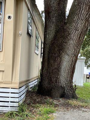 Fields Tree & Land Management