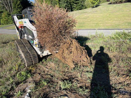 Shampney & Sons Four Seasons Landscaping LLC