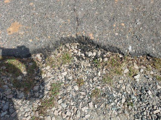 Pothole Plus Specialist