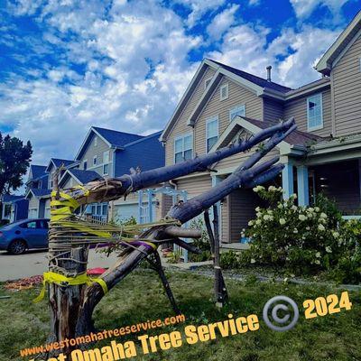 West Omaha Tree Service