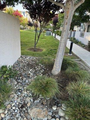 Arvore Landscaping Service