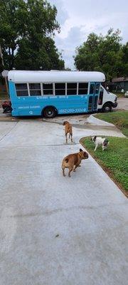 RFA Mobile Grooming Services