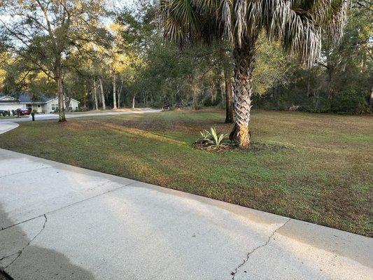 American Grounds Service